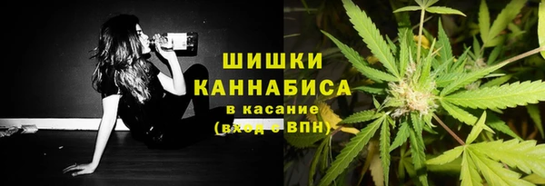 молекула духа Алзамай