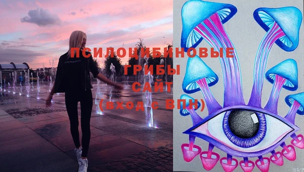 молекула духа Алзамай