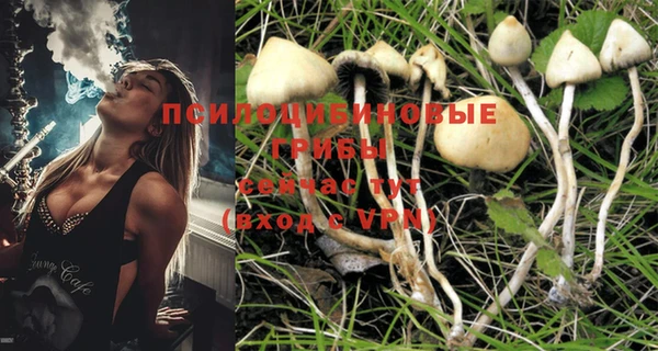молекула духа Алзамай