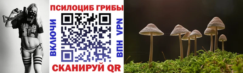 Галлюциногенные грибы Magic Shrooms  сайты даркнета какой сайт  Луга 